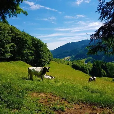 Walkenstein Hotel 3*