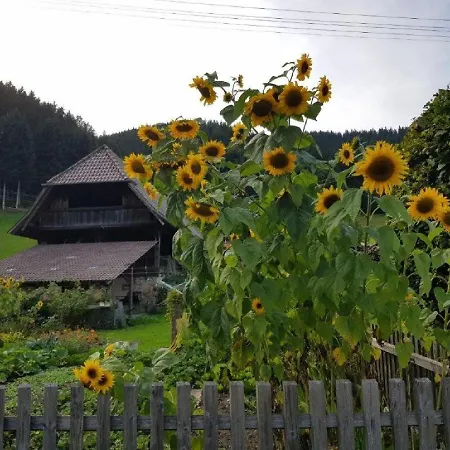 Hotell Walkenstein