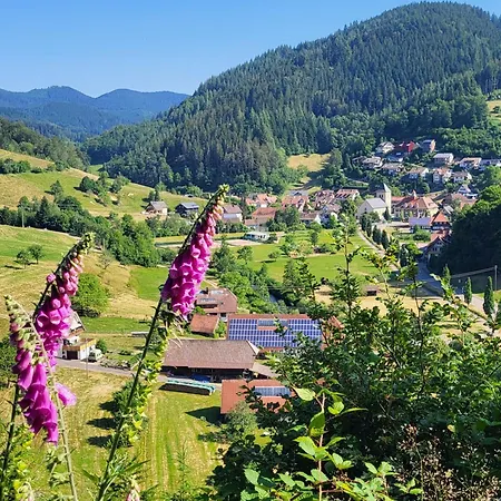 Walkenstein Oberwolfach