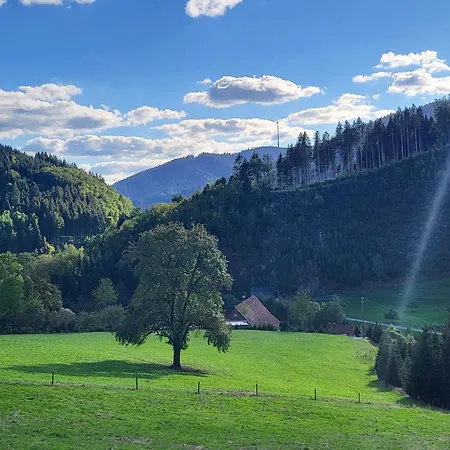 Walkenstein Szálloda Oberwolfach