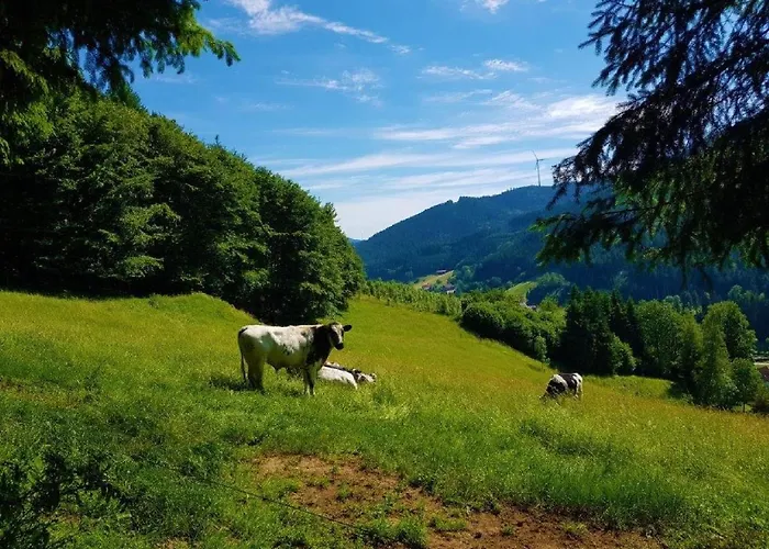 Walkenstein Hotel 3*