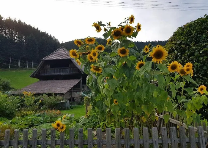 فندق Walkenstein