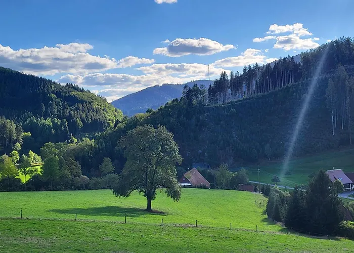 Walkenstein فندق Oberwolfach
