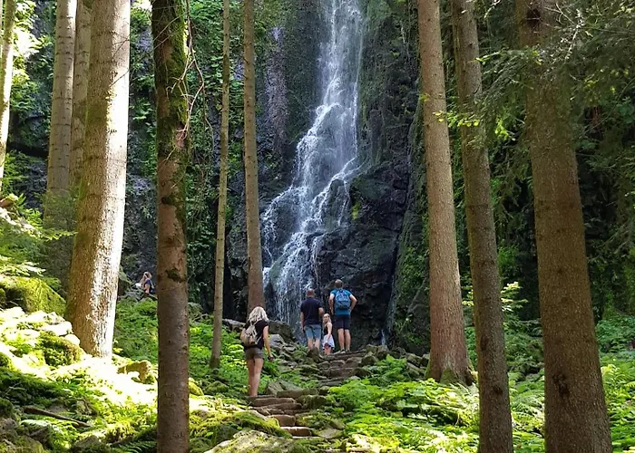 فندق Walkenstein